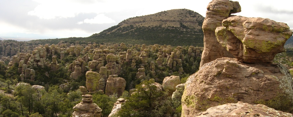 Chiricahua National Monument, Arizona (12)